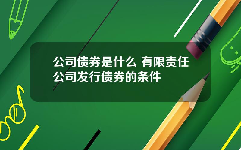 公司债券是什么 有限责任公司发行债券的条件